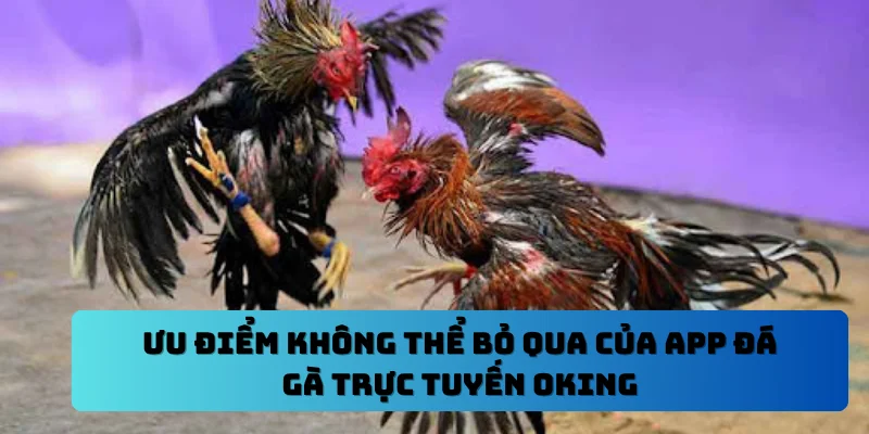 Ưu điểm không thể bỏ qua của App đá gà trực tuyến OKING
