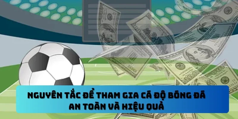 cá độ bóng đá