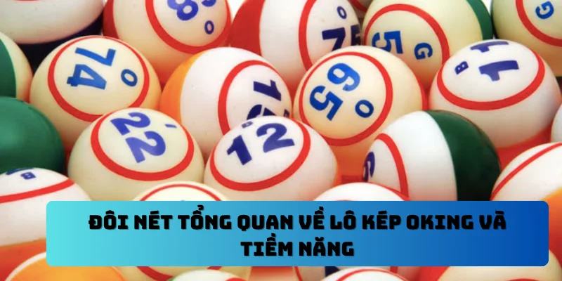 Đôi nét tổng quan về lô kép OKING và tiềm năng