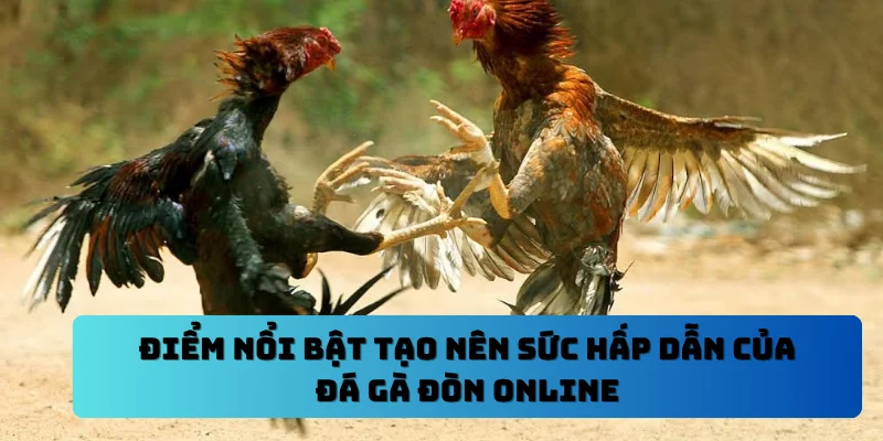 Điểm nổi bật tạo nên sức hấp dẫn của đá gà đòn online