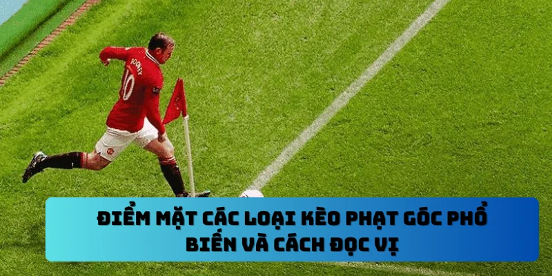 Điểm mặt các loại kèo phạt góc phổ biến và cách đọc vị