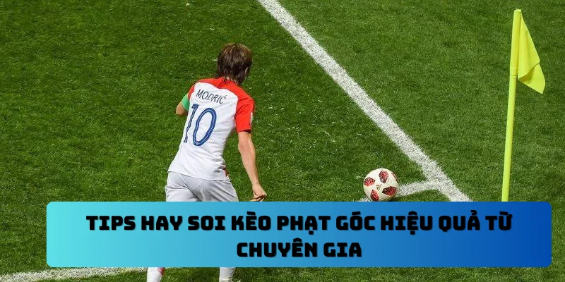 Tips hay soi kèo phạt góc hiệu quả từ chuyên gia