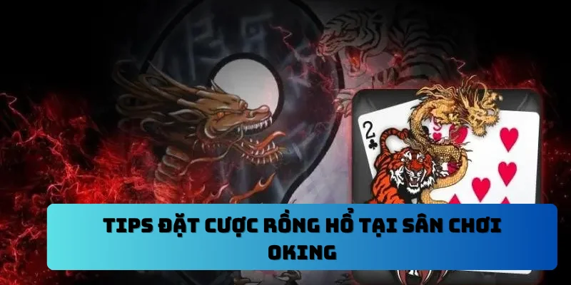 Tips đặt cược rồng hổ tại sân chơi OKING