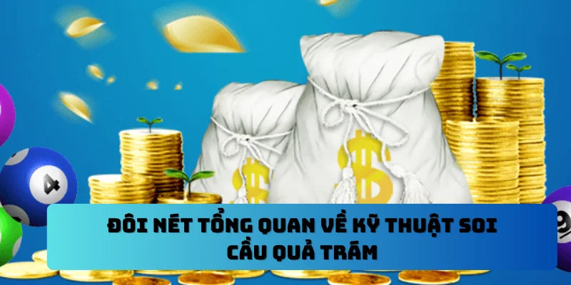 Đôi nét tổng quan về kỹ thuật soi cầu quả trám
