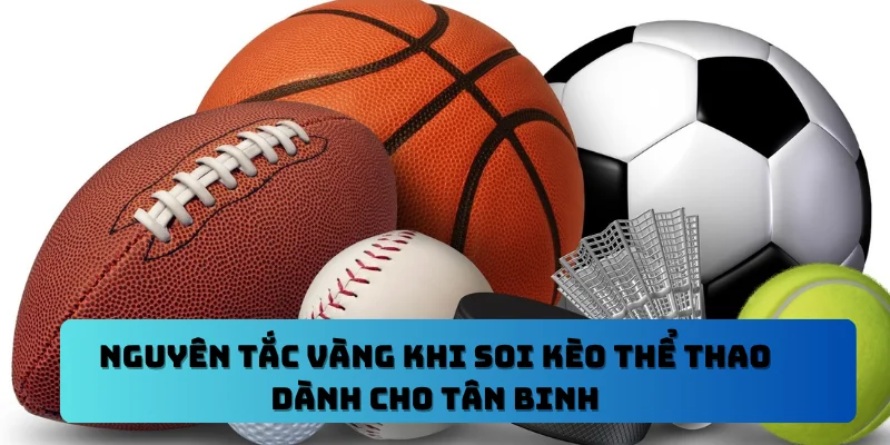 Nguyên Tắc Vàng Khi Soi Kèo Thể Thao Dành Cho Tân Binh