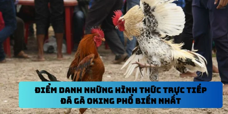 Điểm danh những hình thức trực tiếp đá gà OKING phổ biến nhất